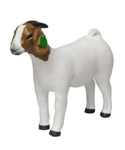 Little Buster Toys Grand Champion Boer Goat Doe, 200895