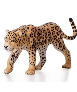 Mojo Leopard, 387018