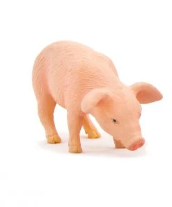 Mojo Piglet Feeding, 387056