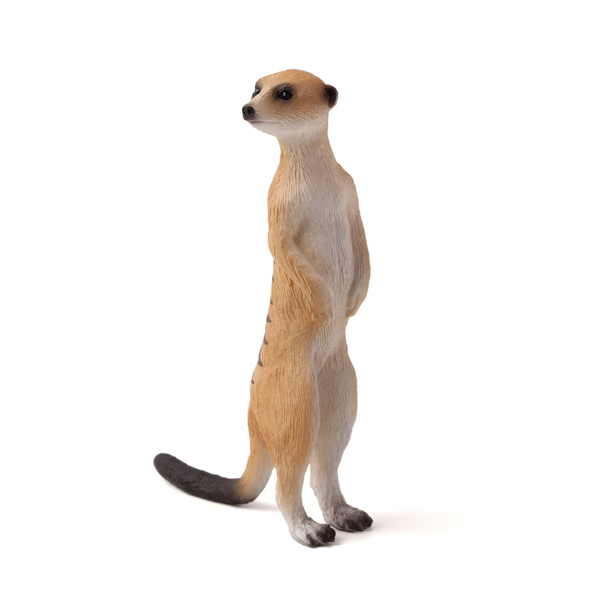 Mojo Meerkat, 387125 3 Mojo Meerkat, 387125