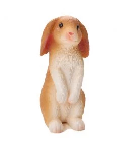 Mojo Rabbit Sitting, 387141