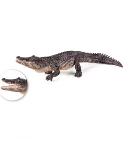 Mojo Alligator, 387168