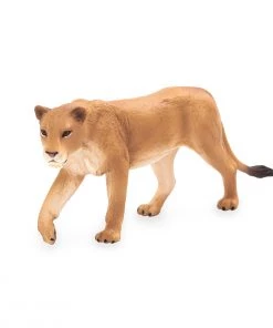 Mojo Lioness, 387175