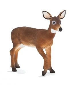 Mojo White Tailed Deer Doe, 387185