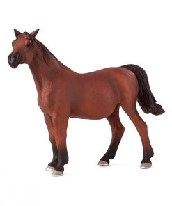 Mojo Arabian Mare in Foal, 387194