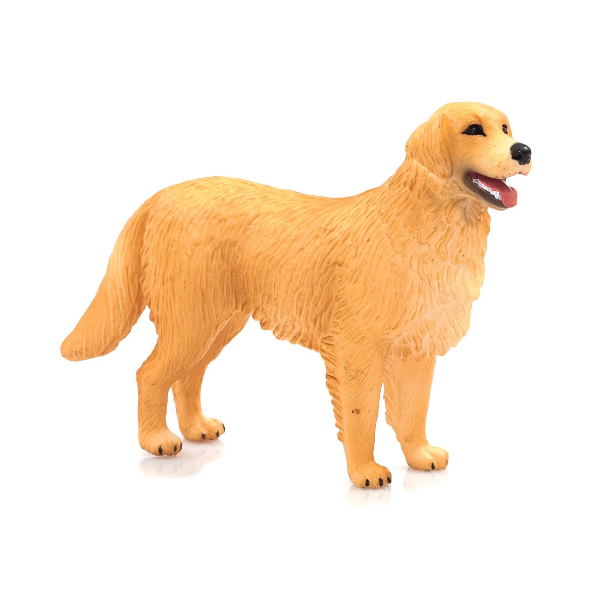 Mojo Golden Retriever, 387198 3 Mojo Golden Retriever, 387198