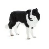 Mojo Border Collie, 387203