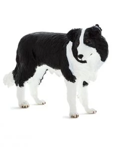 Mojo Border Collie, 387203