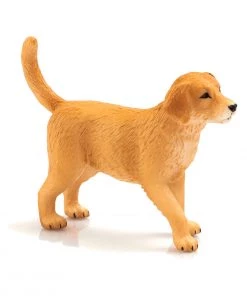 Mojo Golden Retriever Puppy, 387205