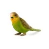 Mojo Budgerigar (Green), 387262