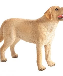 Mojo Labrador, 387271