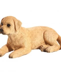 Mojo Labrador Puppy, 387272