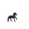 Mojo Friesian Mare, 387281