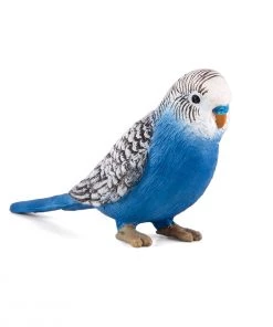 Mojo Budgerigar (Blue), 387292