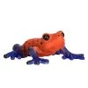 Mojo Poison Dart Tree Frog, 381016 -Outlet Toys Store sftp a s assets20220707000000171