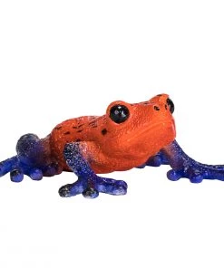 Mojo Poison Dart Tree Frog, 381016
