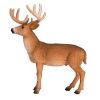 Mojo White Tailed Deer Buck, 387038 2 Mojo White Tailed Deer Buck, 387038 -Outlet Toys Store sftp a s assets20220707000000200