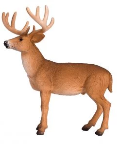 Mojo White Tailed Deer Buck, 387038