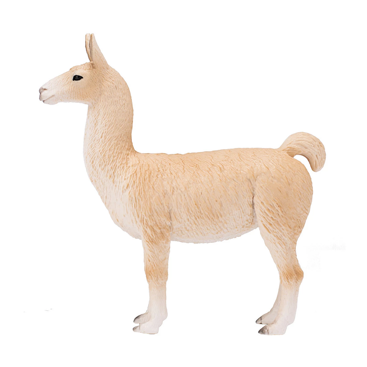 Mojo Llama, 387391 4 Mojo Llama, 387391 - Image 2