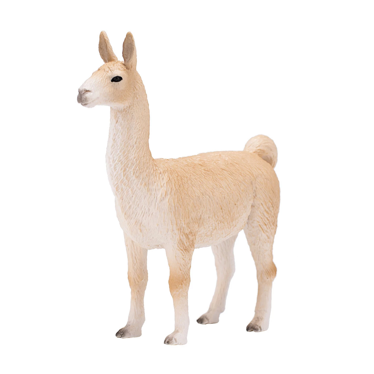 Mojo Llama, 387391 6 Mojo Llama, 387391 - Image 4