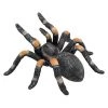Mojo Red Kneed Tarantula, 387213