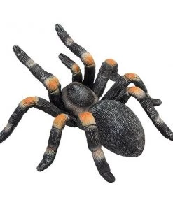 Mojo Red Kneed Tarantula, 387213